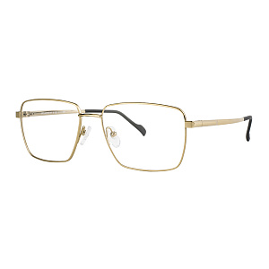 Мед. оправа STEPPER SI-60281 F010 54