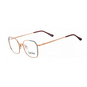 Мед. оправа Baniss BR7021 COL.03 51