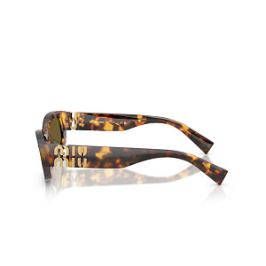 Очки с/з MIU MIU SMU B04 14L-09Z 53