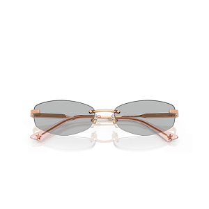 Очки с/з Jimmy Choo JC 4013D 3008/87 57