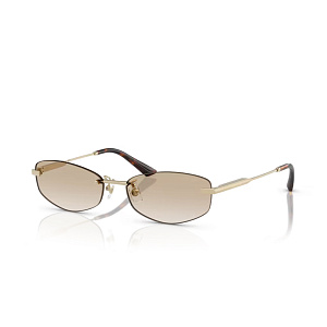 Очки с/з Jimmy Choo JC 4013D 3006/11 57
